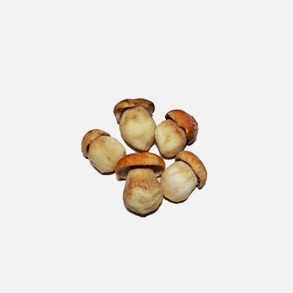 SETAS CONG. BOLETUS 1ª MEDIANO 1KG