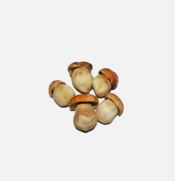 SETAS CONG. BOLETUS 1ª MEDIANO 1KG