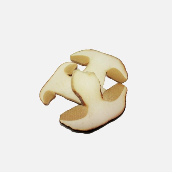 SETAS CONG. BOLETUS LAMINADO 1KG