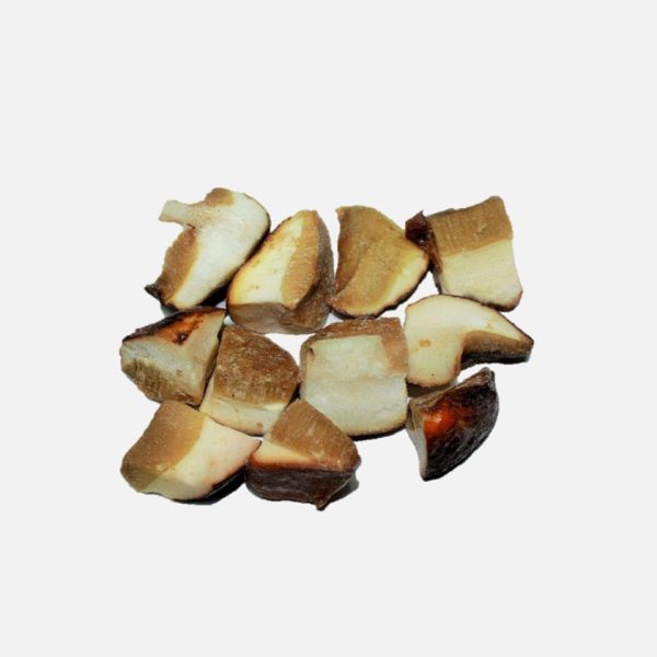 SETAS CONG. BOLETUS TROZ. SALSA 1KG